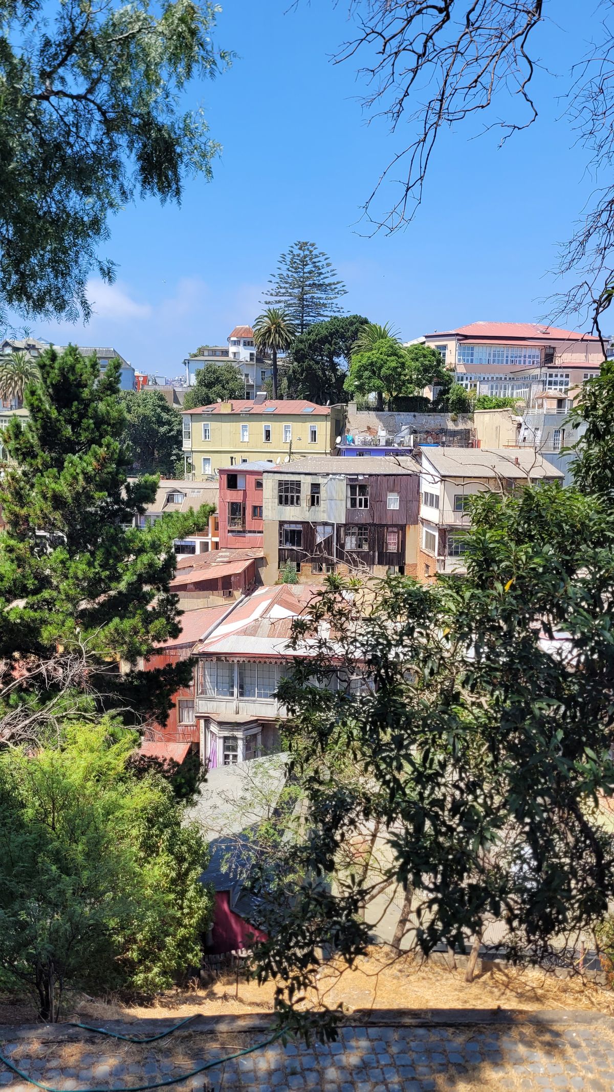 Cerros de Valparaíso